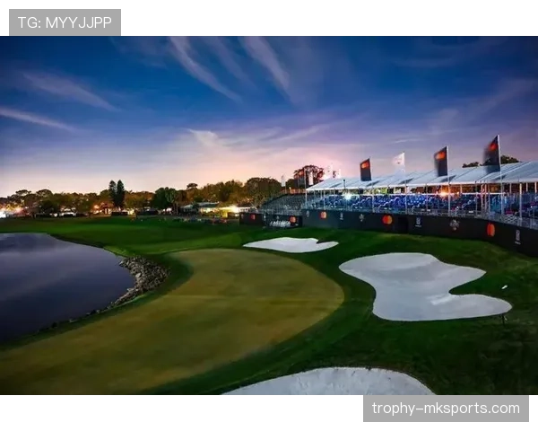 帕尔默比赛阅读能力持续提升，场上决策表现稳健