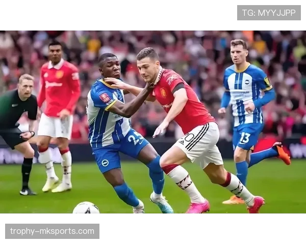 布莱顿逼抢体系持续提升，高位压迫战术展现竞争力