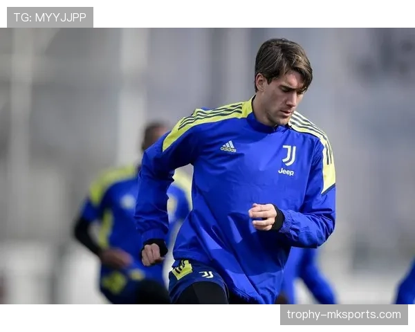 弗拉霍维奇身体优势